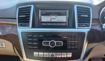 2013 Mercedes-Benz ML 350 Bluetec full